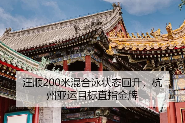 wang-shun-mi-hun-he-yong-zhuang-tai-hui-sheng-hang-zhou-ya-yun-mu-biao-zhi-zhi-jin-pai-2-187.jpg
